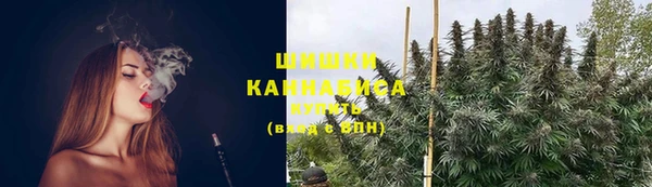 соль ск Бикин