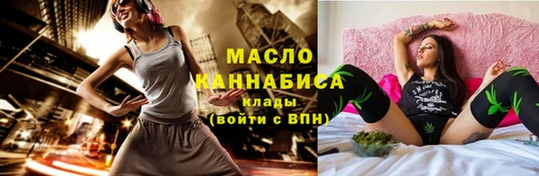 МДПВ Новозыбков
