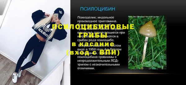 крисы Нефтекумск