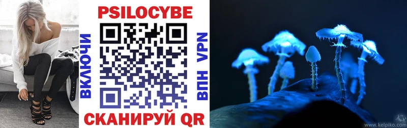 где можно купить   Кяхта  KRAKEN рабочий сайт  Галлюциногенные грибы мицелий 